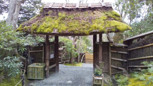 苔の小径 祇王寺