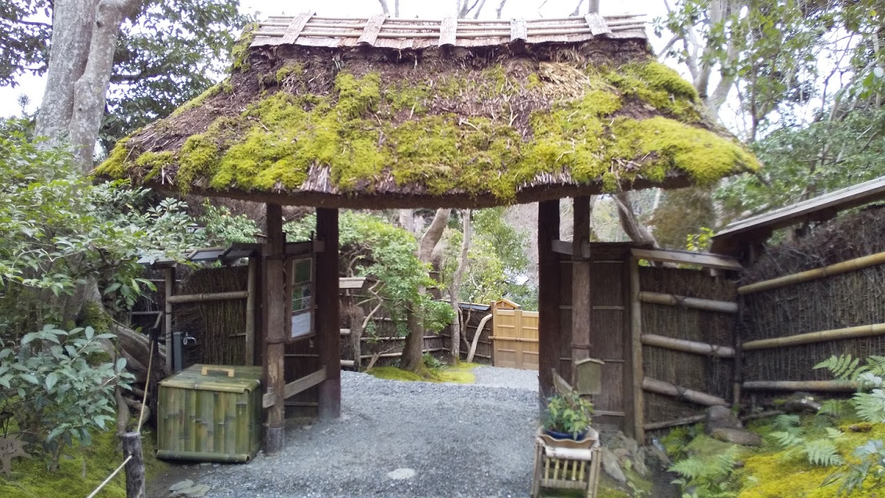 苔の小径　祇王寺